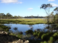 tn_smllagoon.jpg