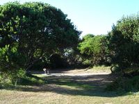200_black_river_dsc03422.jpg
