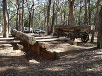 200_sawpit_dsc01695.jpg