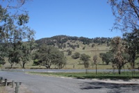 200x133_bluff_rock_tenterfield_dsc06526.jpg