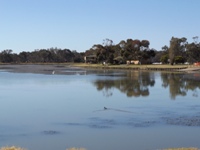 200xcondobolin_gum_bend_lake_dscf6073s.jpg