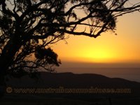tn_hancocks_sunset_dsc014961.jpg