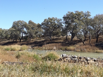 341_brewarrina_dscf6380.jpg
