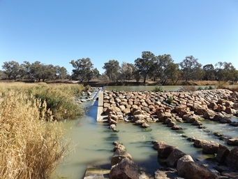 341_brewarrina_dscf6390.jpg