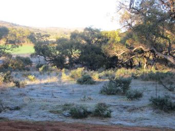 341_frost_img_4951.jpg