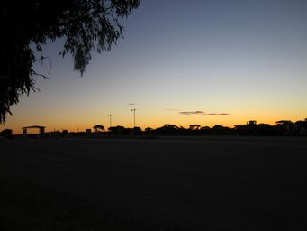 341_img_4855_-_copy.jpg