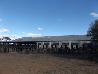 341_kinchega_woolshed_dscf3527.jpg