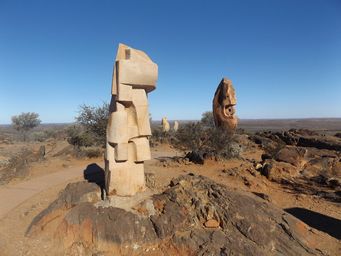 341_living_desert_dscf3592.jpg