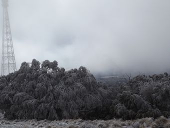 341_snowing_dscf5719.jpg