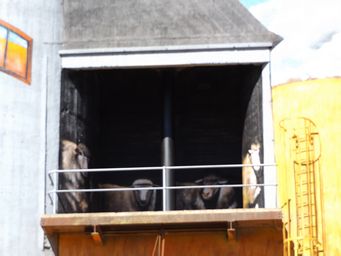 341_weethalle_dscf6127.jpg