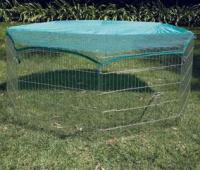 petplaypen.jpg