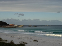 tn_bayoffires.jpg